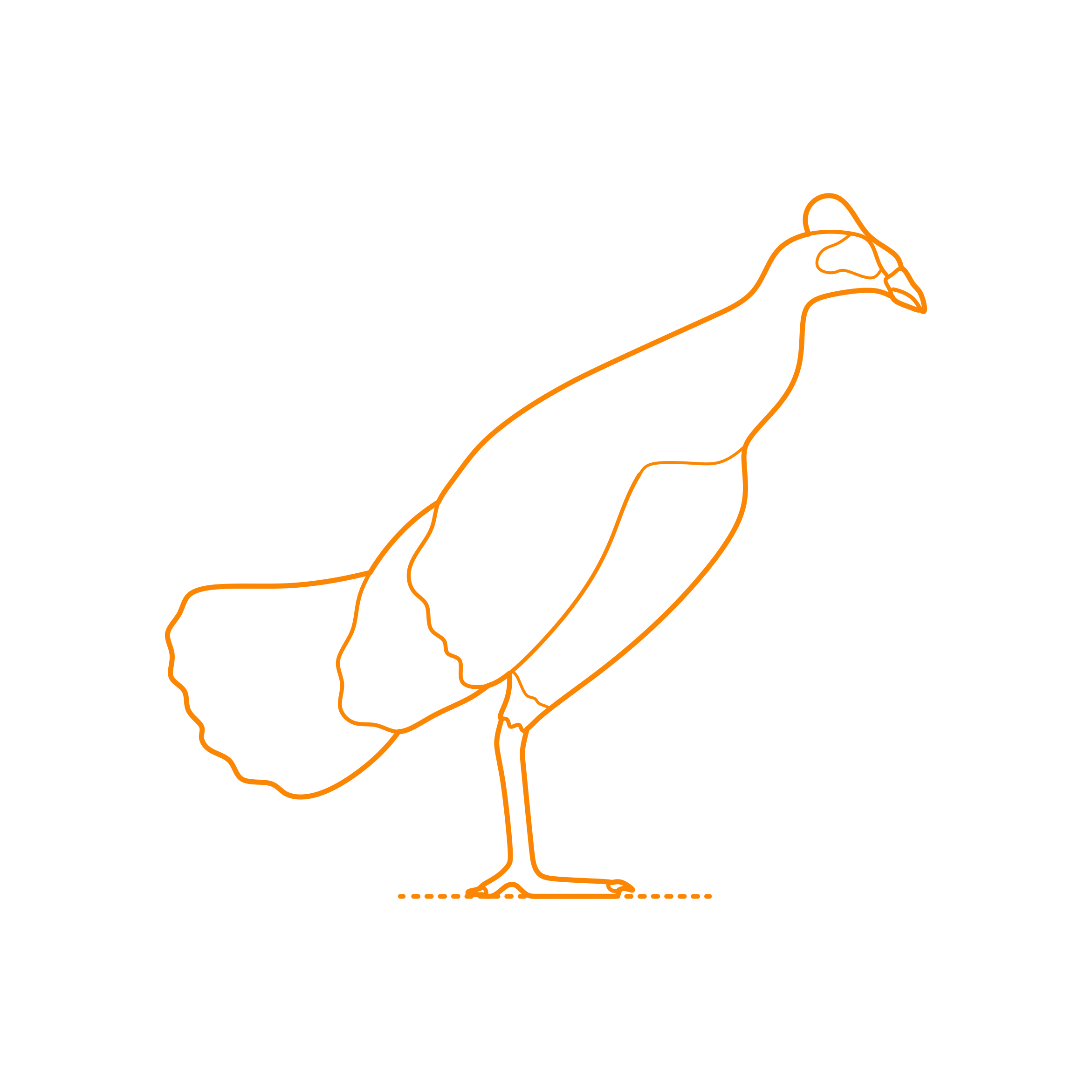 Animals Gamefowl Maleo Outline Svg Vector Free Vectors
